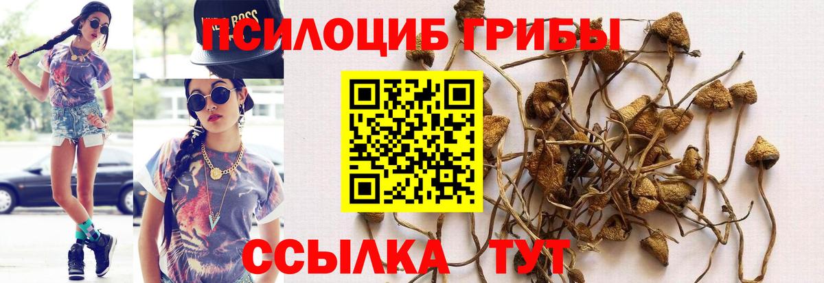 Галлюциногенные грибы Cubensis Кириши