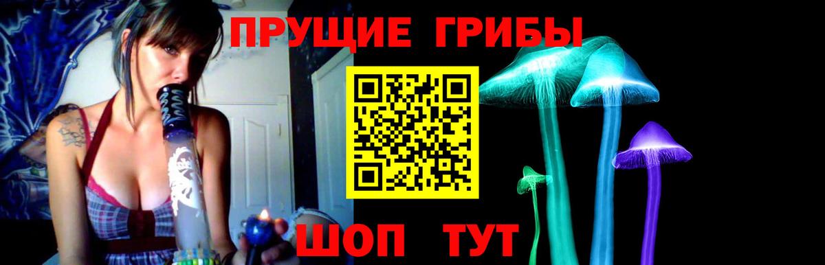 Псилоцибиновые грибы Psilocybe  Вход с VPN  Галлюциногенные грибы прущие грибы  Кириши 